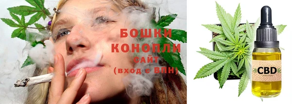 экстази Бородино