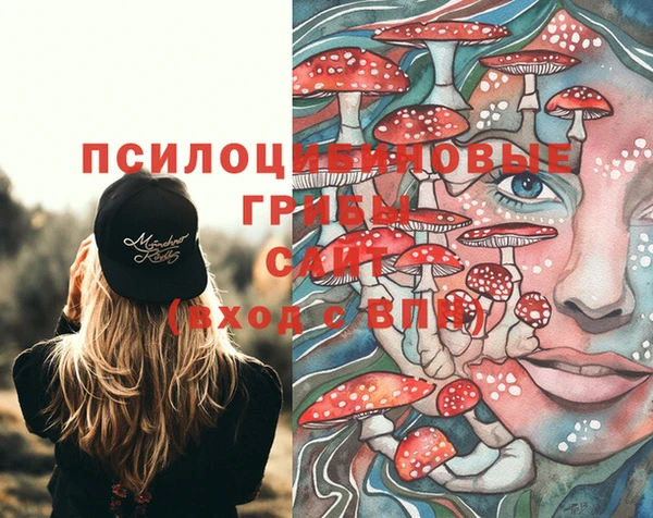 экстази Бородино