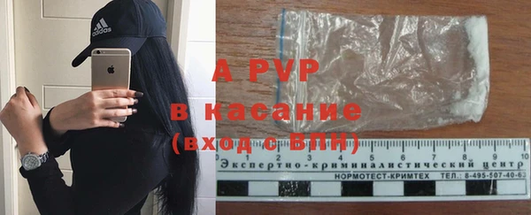 экстази Бородино