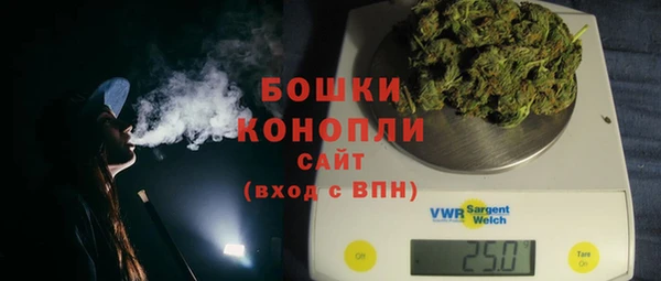 МДПВ Бронницы