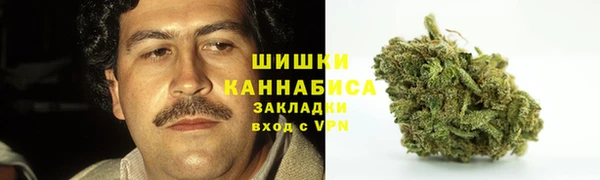 МДПВ Бронницы