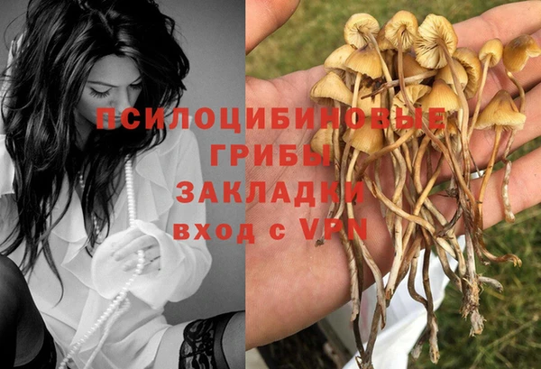 экстази Бородино